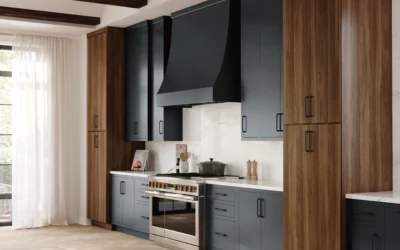 Above and Beyond: Range Hoods Make Their Move